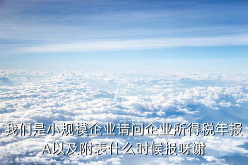 我們是小規(guī)模企業(yè)請(qǐng)問企業(yè)所得稅年報(bào)A以及附表什么時(shí)候報(bào)呀謝