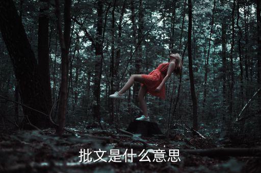 稅收個(gè)案批復(fù)是什么意思，批文是什么意思