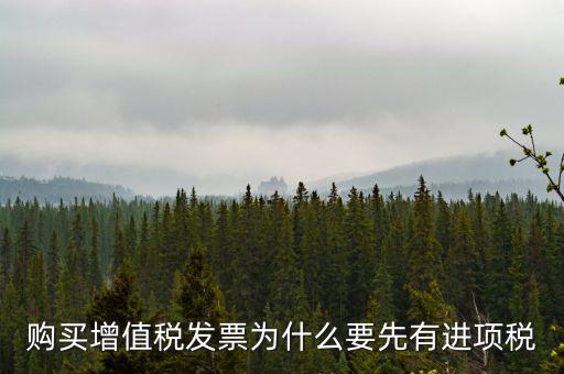 為什么要買進(jìn)項(xiàng)票，購買增值稅發(fā)票為什么要先有進(jìn)項(xiàng)稅