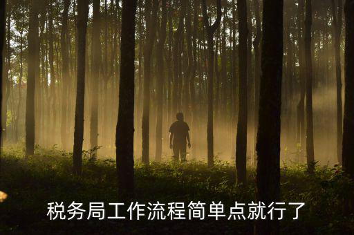 稅務(wù)局上班要什么手續(xù)，稅務(wù)局工作流程簡單點(diǎn)就行了