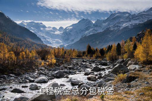 凈稅收中的總稅是什么，簡(jiǎn)明的說(shuō)下增值稅附加稅等各項(xiàng)稅款