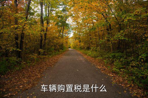 車購稅資金是什么，購置稅是什么