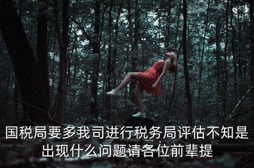 國(guó)稅評(píng)估局是干什么的，國(guó)稅局是做什么的說簡(jiǎn)單點(diǎn)兒吧謝謝