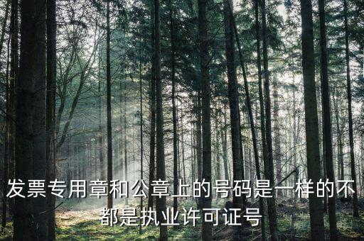 公章和發(fā)票章號(hào)碼是什么，發(fā)票專用章和公章上的號(hào)碼是一樣的不都是執(zhí)業(yè)許可證號(hào)