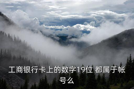 工行19位賬號應(yīng)用號是什么，請解釋工商銀行19位帳號的組成含義
