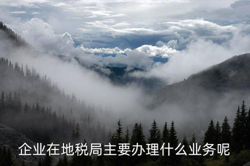 廣州地稅辦理什么業(yè)務(wù)，廣州稅務(wù)登記