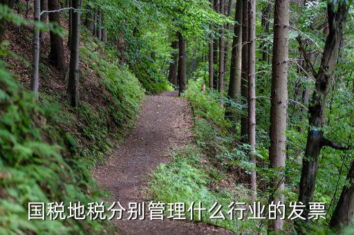 地稅涉及的行業(yè)都是什么，國(guó)稅地稅分別管理什么行業(yè)的發(fā)票