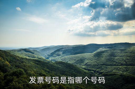 什么是發(fā)票的查詢號，發(fā)票號碼是指哪個號碼