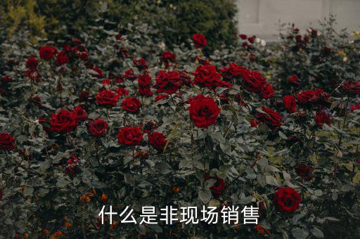 什么是非現(xiàn)場(chǎng)消費(fèi)食品，什么是非現(xiàn)場(chǎng)消費(fèi)的食品