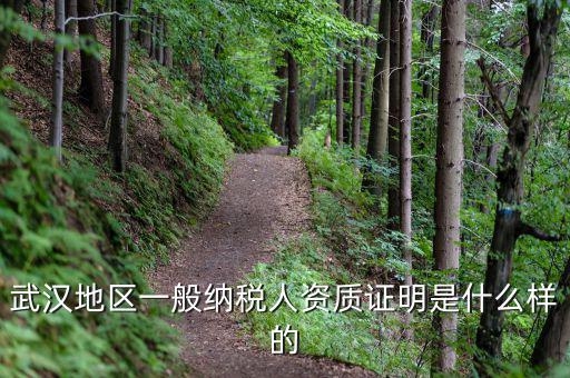 武漢地區(qū)一般納稅人資質證明是什么樣的