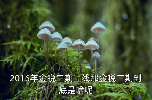 金稅三期雙軌是什么，金稅三期是什么意思