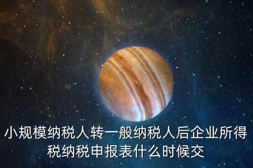 小規(guī)模申報(bào)什么時(shí)間，增值稅小規(guī)模納稅人2009年什么時(shí)候報(bào)年報(bào)