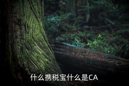 青島國(guó)稅ca證書是什么，什么攜稅寶什么是CA