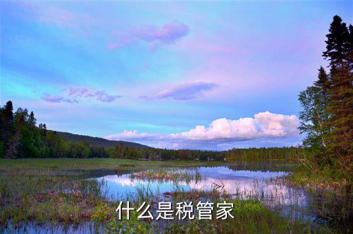 財稅大管家干什么用的，大管家金服是做什么的呀