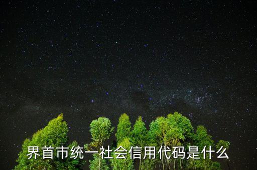 統(tǒng)一社會信用代碼指什么，深圳碼統(tǒng)一社會信用代碼是什么