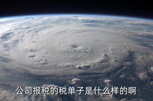 稅務(wù)清單是什么樣的，公司報稅的稅單子是什么樣的啊
