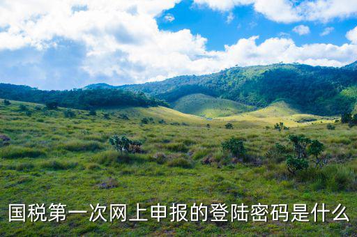 浙江國稅登入密碼是什么意思，稅務(wù)局網(wǎng)站的登入賬戶初始密碼是什么