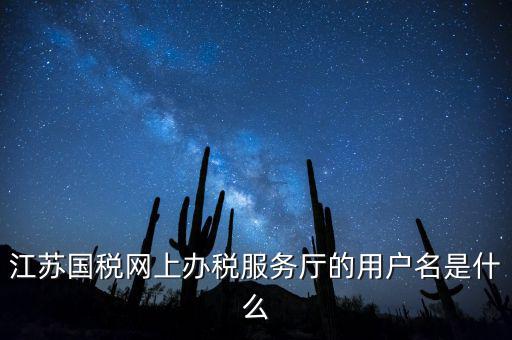 江蘇國稅用戶名密碼是什么，江蘇國稅網(wǎng)上辦稅服務廳的用戶名是什么