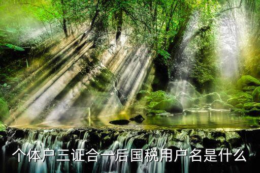 三證合一叫什么名字，個(gè)體戶三證合一后國稅用戶名是什么