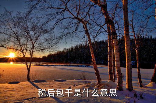 稅干是什么意思，干稅是什么意思