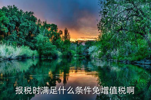 什么情況免征增值稅，哪些屬于免征增值稅