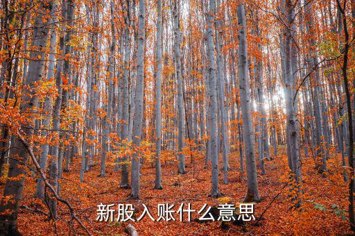 入賬機(jī)構(gòu)什么意思，銀聯(lián)入賬是什么意思