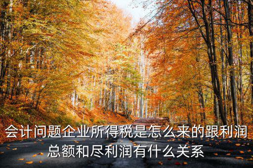 企業(yè)所得稅和什么有關(guān)，增值稅和企業(yè)所得稅有關(guān)系么