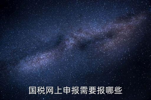 網(wǎng)上申報(bào)國稅需要什么，去國稅辦稅大廳申報(bào)網(wǎng)上申報(bào)資格需要什么