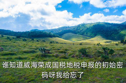 山東默認(rèn)國(guó)稅密碼是什么，登錄國(guó)稅網(wǎng)上辦稅服務(wù)廳的用戶名和密碼是什么