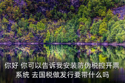 稅控發(fā)行是要做什么，稅控盤發(fā)行都呆哪些東西去稅務(wù)局需要法人去嗎