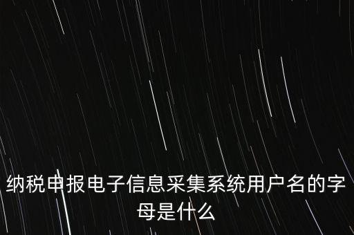 江蘇國稅電子稅務(wù)局登錄用戶名是什么意思，江蘇國稅網(wǎng)上辦稅服務(wù)廳的用戶名是什么