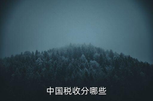 中國(guó)稅收分哪些