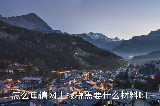 網(wǎng)上報稅需要辦理什么，申請網(wǎng)上報稅需要什么手續(xù)啊