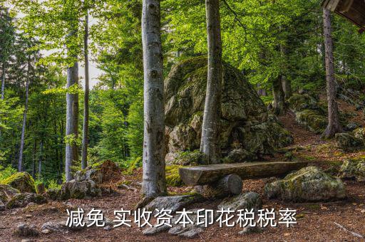 減實(shí)收資本要交什么稅，實(shí)收資本在注冊(cè)登記后就需要繳納印花稅以后按年度增加部分計(jì)算繳