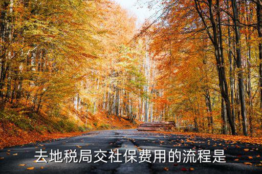 地稅局交社保需要什么手續(xù)費，去地稅局交社保費用的流程是