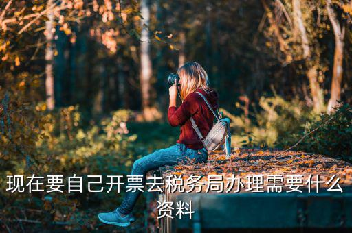 自己開(kāi)專票要什么資料，開(kāi)個(gè)人增值稅發(fā)票需要什么資料