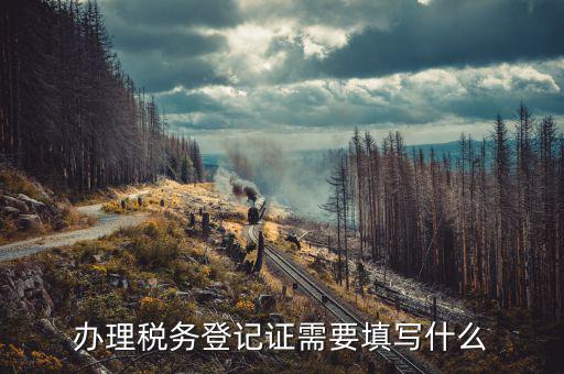 稅務登記地址填什么，填寫稅務登記地址是證件上的經營地址還是批準設立機關的地址