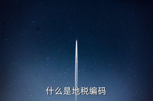稅收編號是什么意思，稅務(wù)登記證上的企業(yè)編碼是什么意思不是就是稅務(wù)號