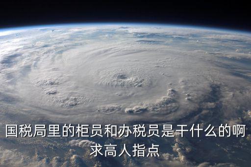 什么叫辦稅員，國(guó)稅局里的柜員和辦稅員是干什么的啊求高人指點(diǎn)