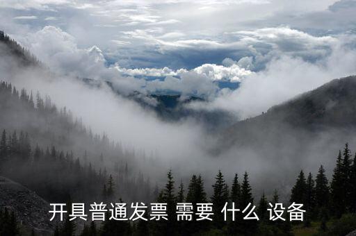 現(xiàn)在開(kāi)普通票需要什么，開(kāi)具普通發(fā)票 需要 什么 設(shè)備