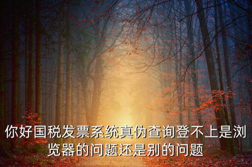 國(guó)稅登不上什么情況，為什么稅號(hào)密碼都對(duì)還是無(wú)法登錄國(guó)稅