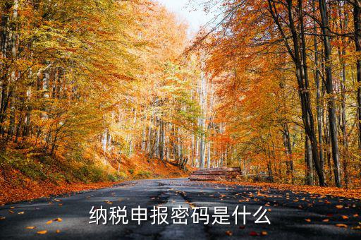 怎樣查地稅密碼是什么，稅務(wù)數(shù)字證書密碼忘記或鎖定如何解決