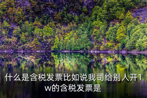什么行業(yè)一般人發(fā)票含稅，什么類納稅人可以開增值稅專用發(fā)票