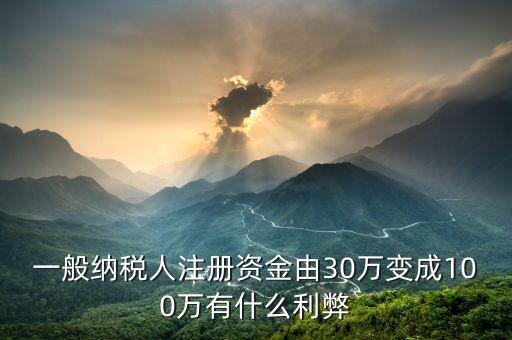 什么是案頭審核，一般納稅人注冊資金由30萬變成100萬有什么利弊