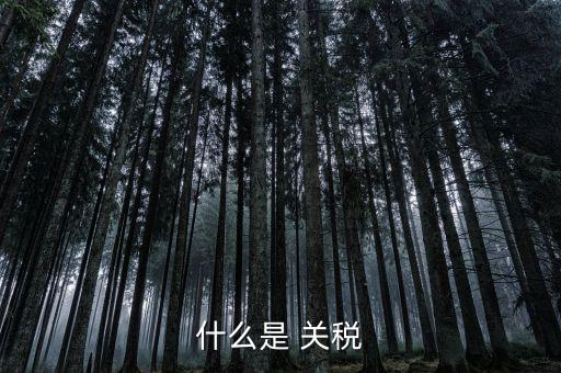 什么是國(guó)境關(guān)稅，關(guān)稅是什么