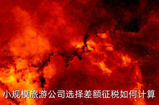 什么企業(yè)差額征稅，小規(guī)模旅游公司選擇差額征稅如何計(jì)算