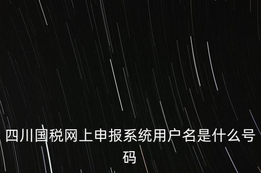 四川省地方稅務(wù)局登錄賬號(hào)是什么，在網(wǎng)上報(bào)稅登陸時(shí)用戶名是什么