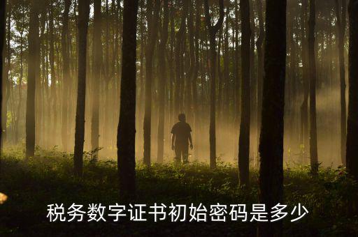 地稅數(shù)字證書的密碼是什么，稅控證書密碼是多少只有可能是8位嗎