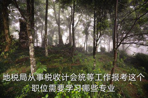 地稅局從事稅收計(jì)會(huì)統(tǒng)等工作報(bào)考這個(gè)職位需要學(xué)習(xí)哪些專(zhuān)業(yè)