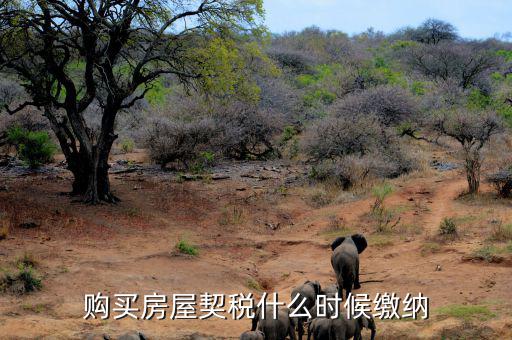 鶴壁契稅什么時(shí)候交，什么時(shí)間繳納契稅